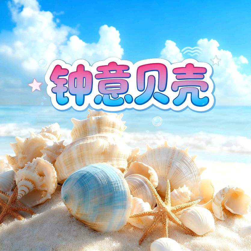 钟意贝壳