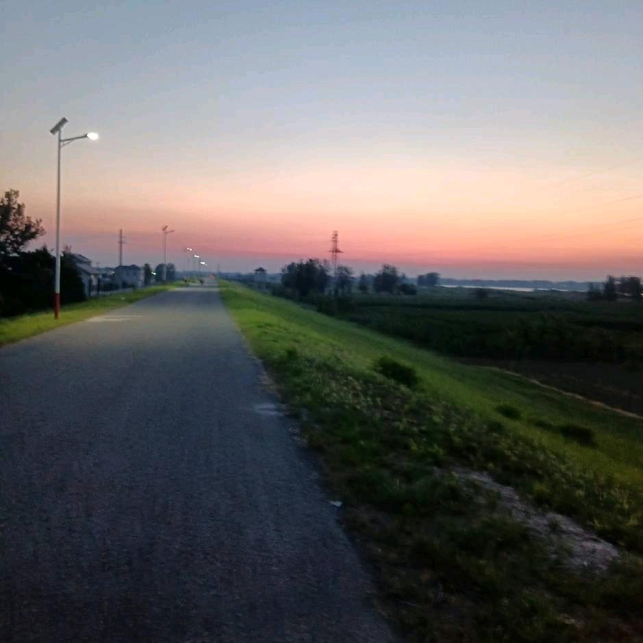 我带儿，久坚望乡，