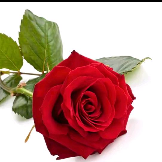 开心每一天ℳ🍒꧔ꦿ້໌ᮨ࿐