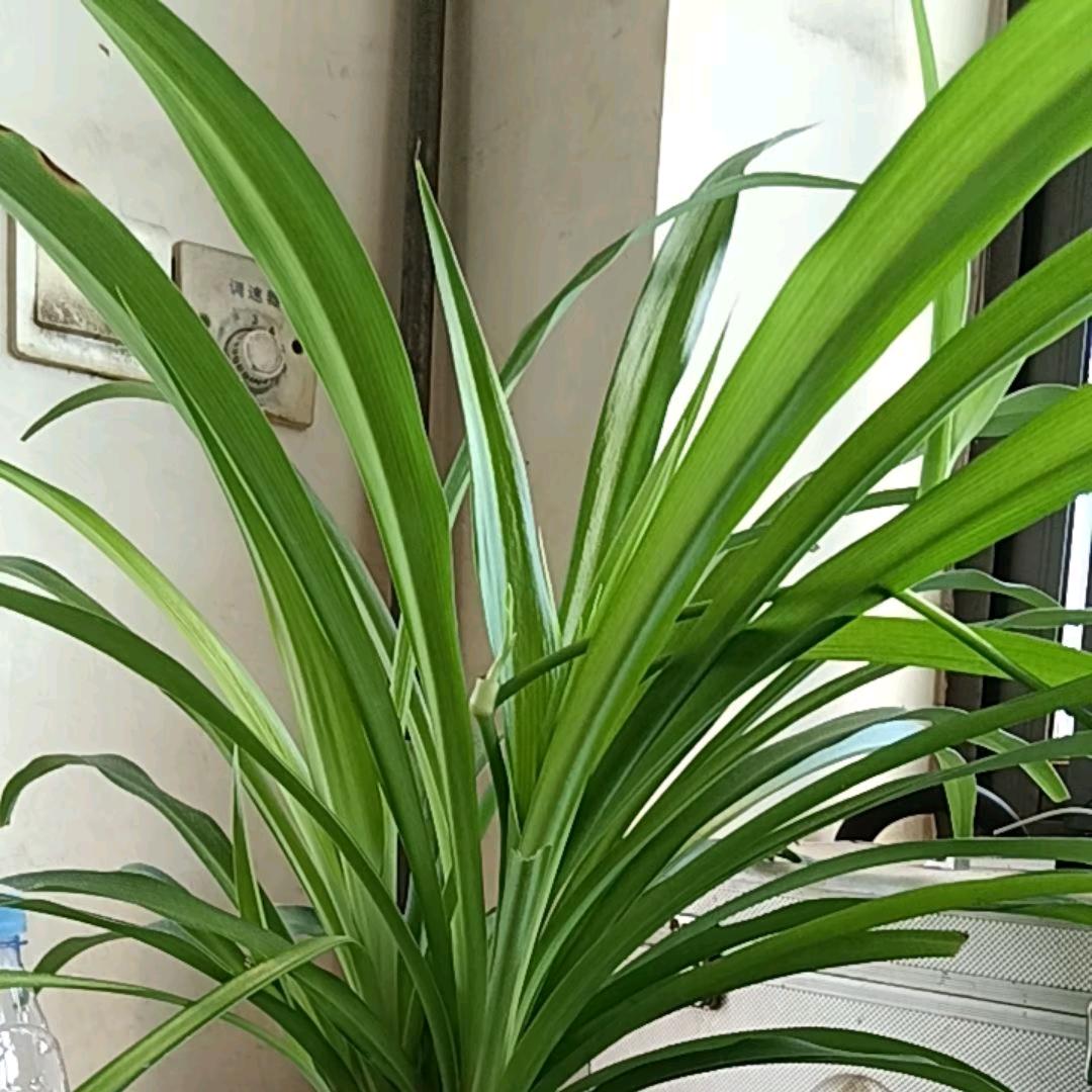 缘分来了就是你