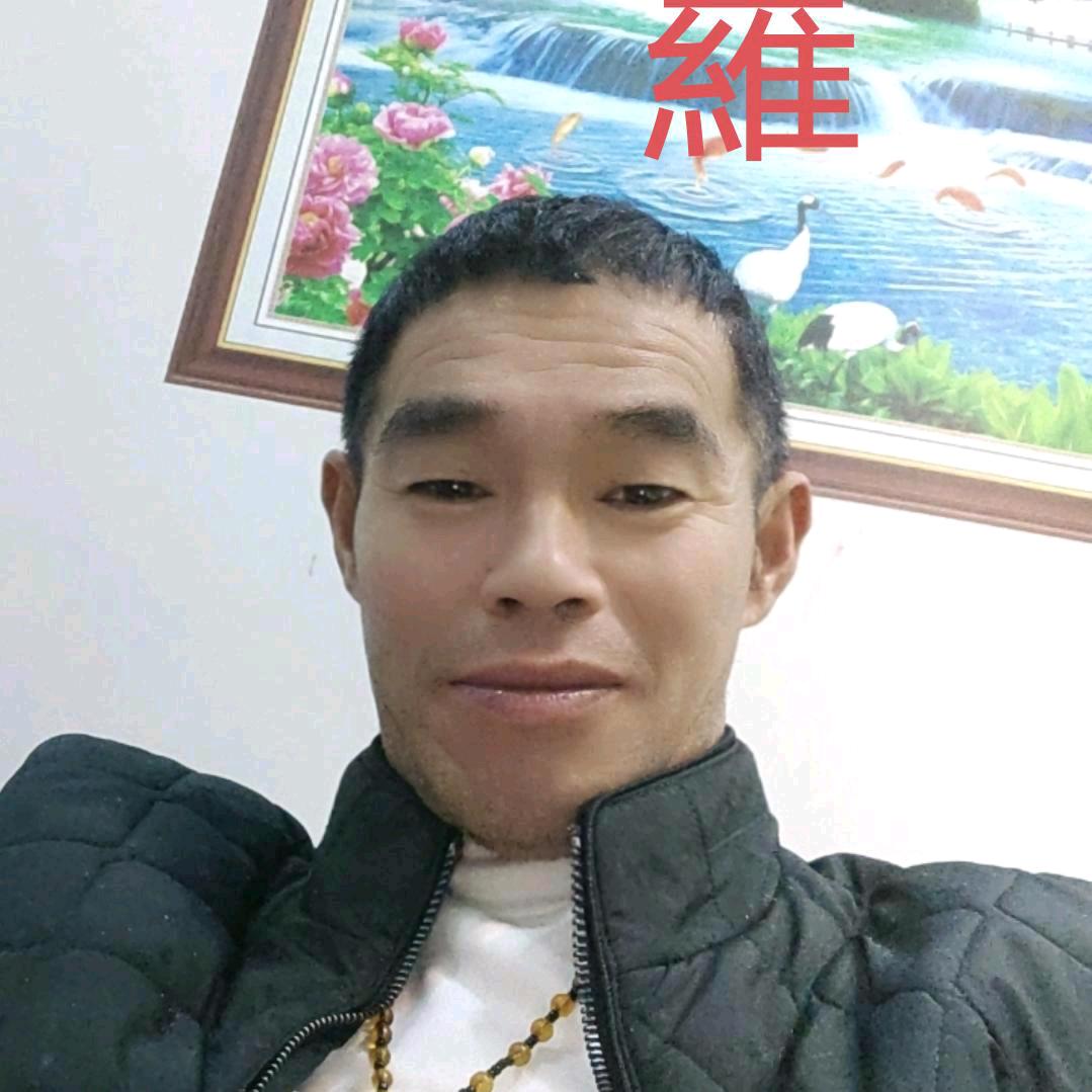 羅羅天天忙