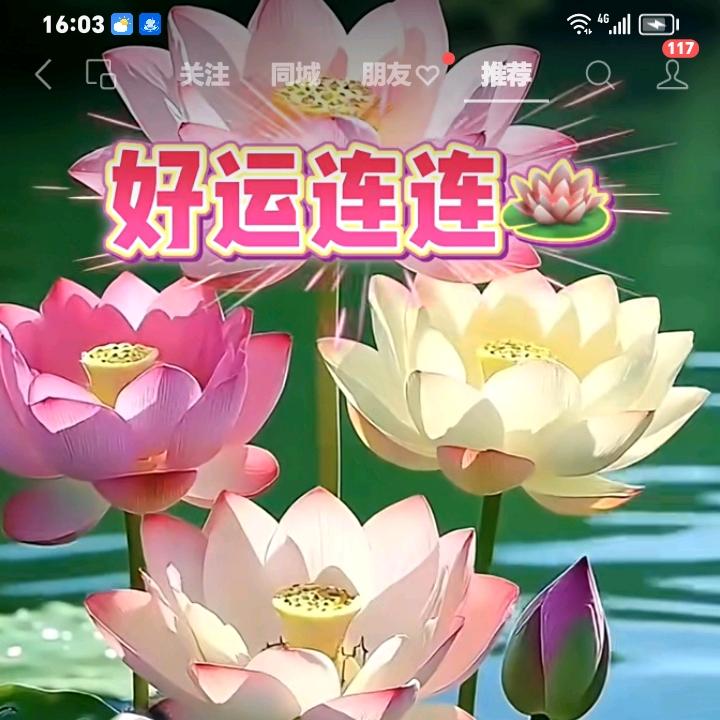 好运常伴
