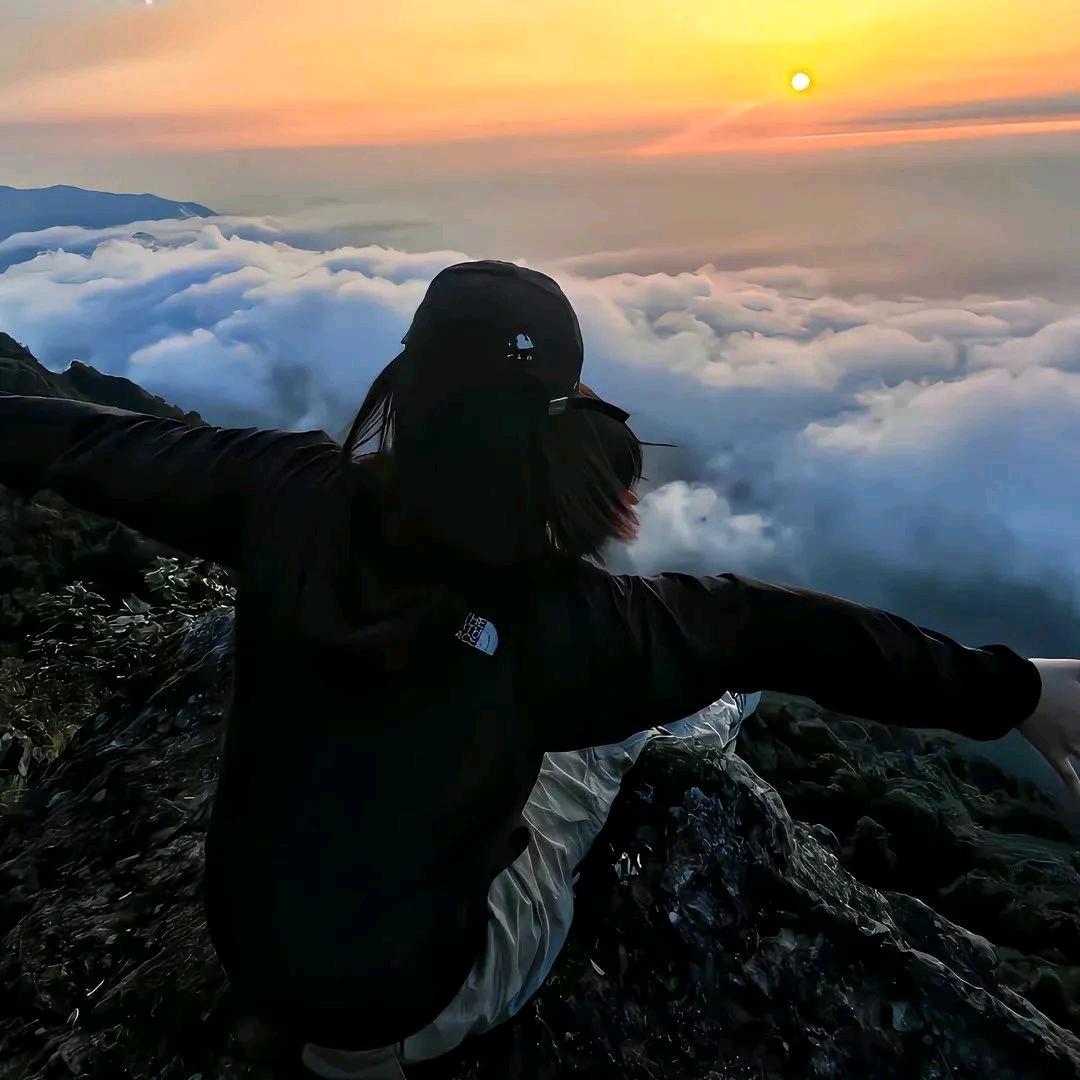 玫瑰与落叶🍂