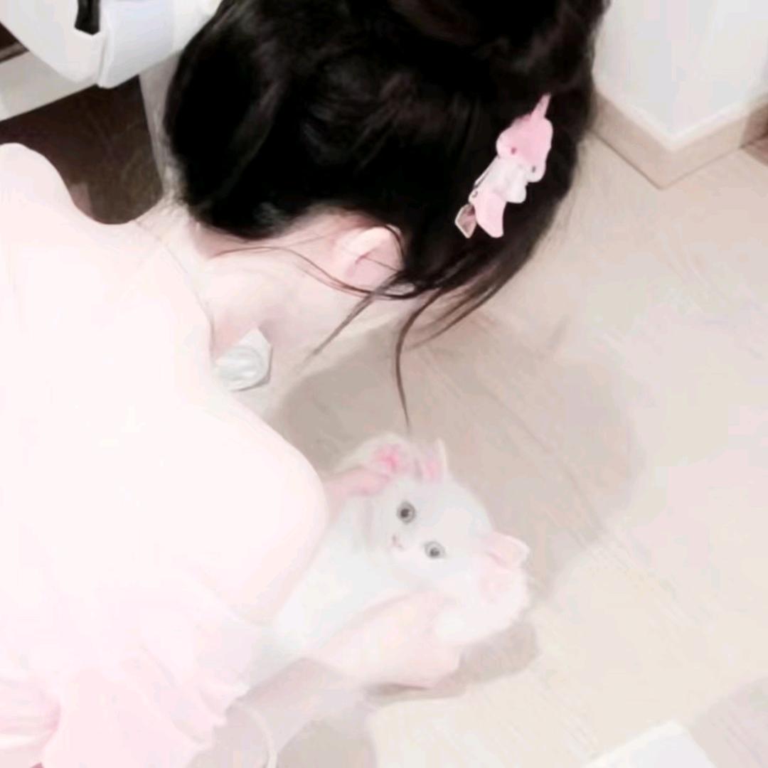 小智