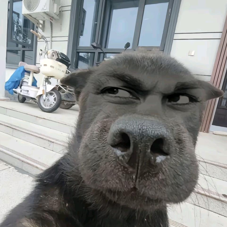 嗯！？