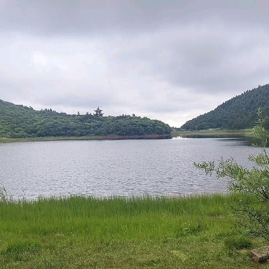 庄浪玉米小麦购销米面油批发