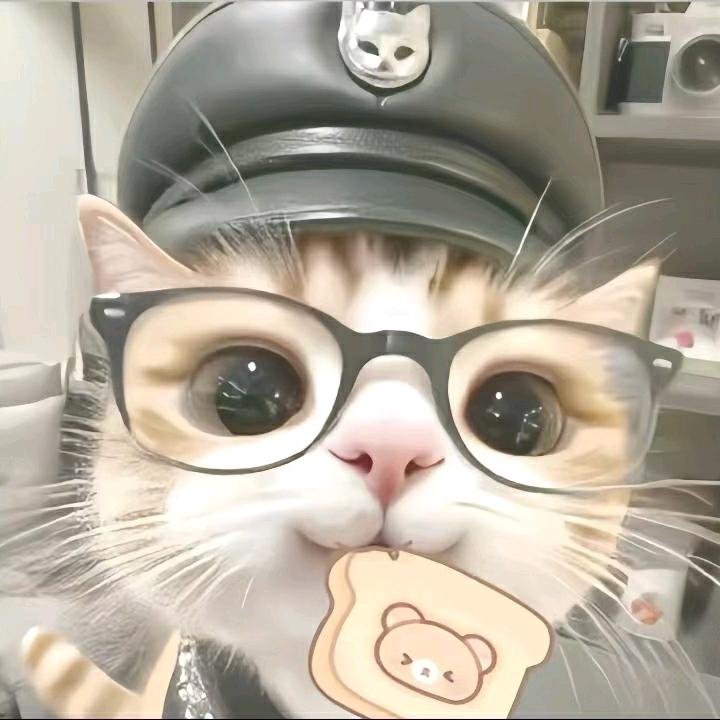 Yiik17
