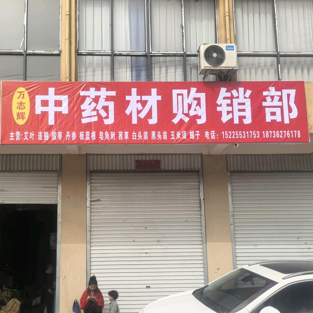 药材收购万志辉