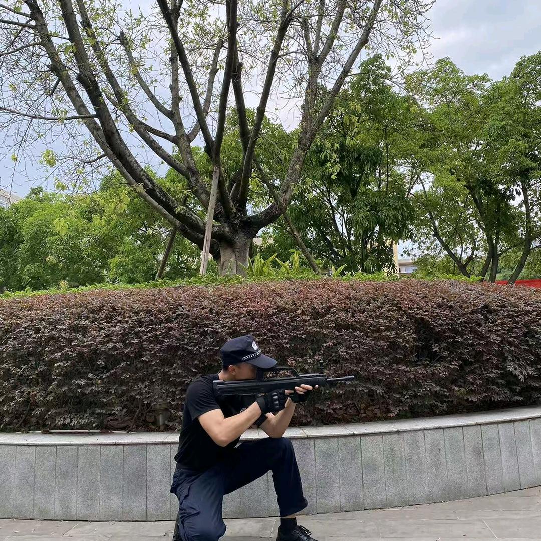 北辰(警学者)