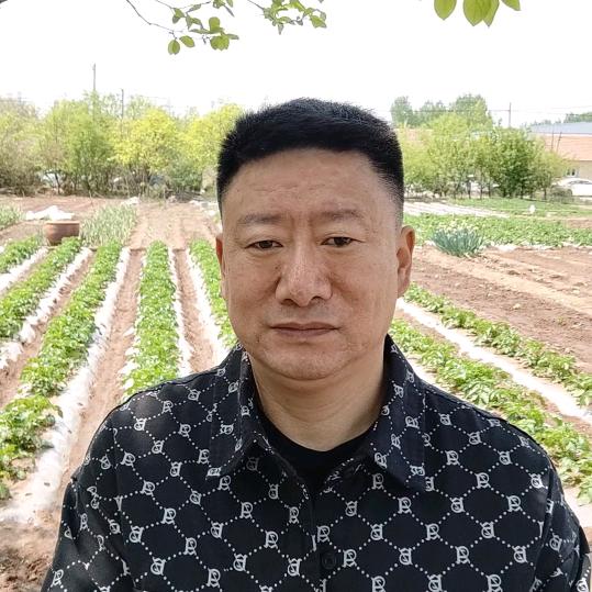 青岛刘刚