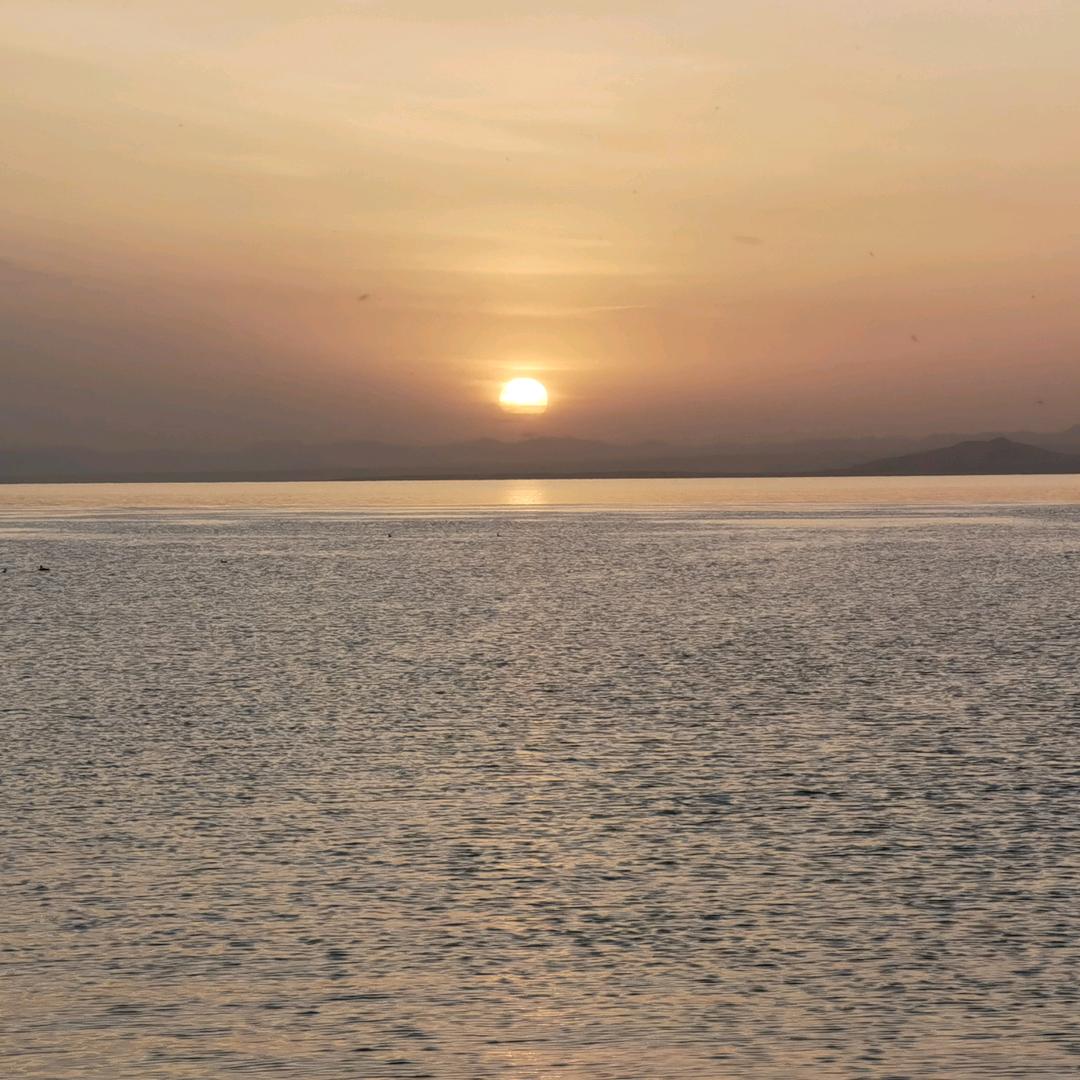 只给小馒头主播送心心