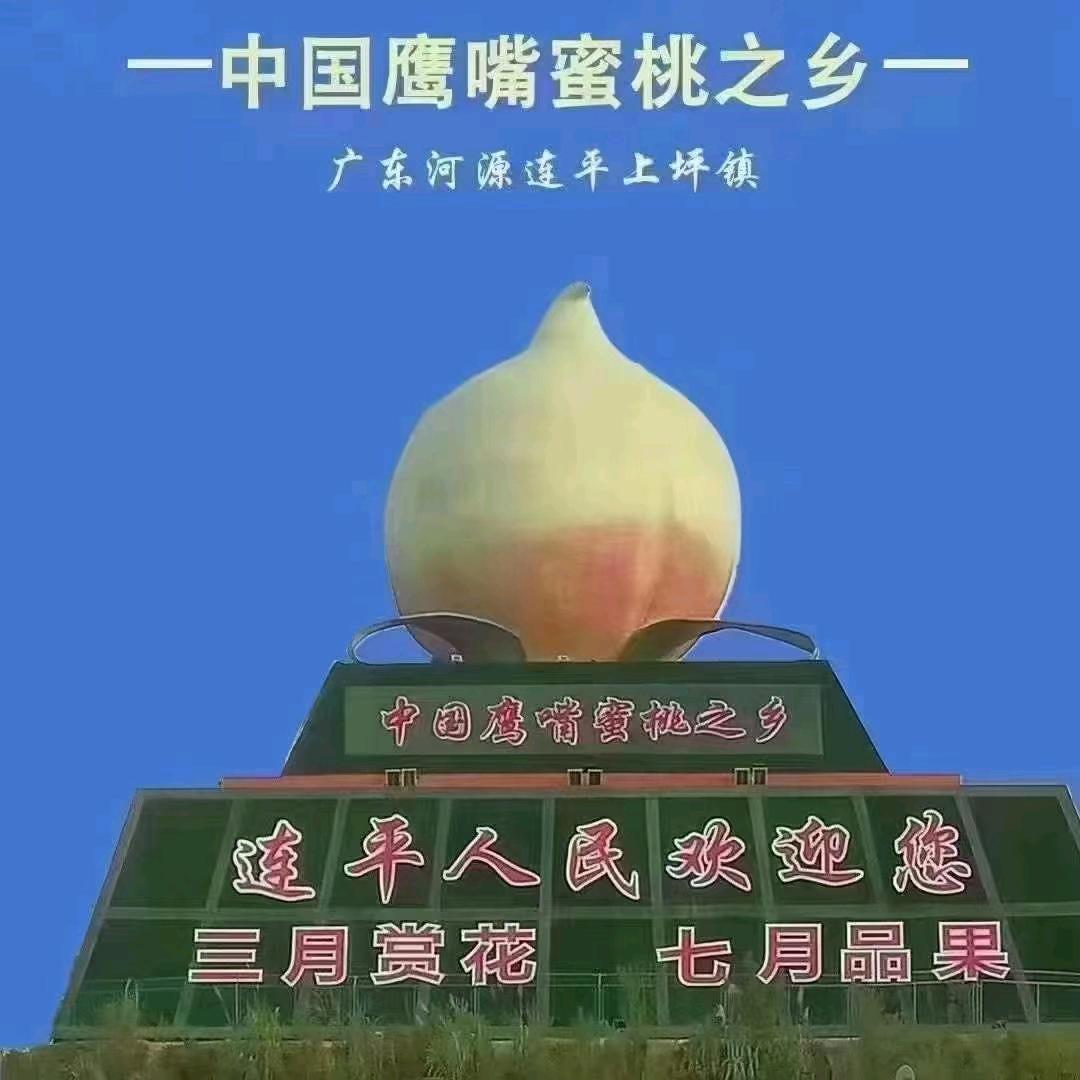 惠惠