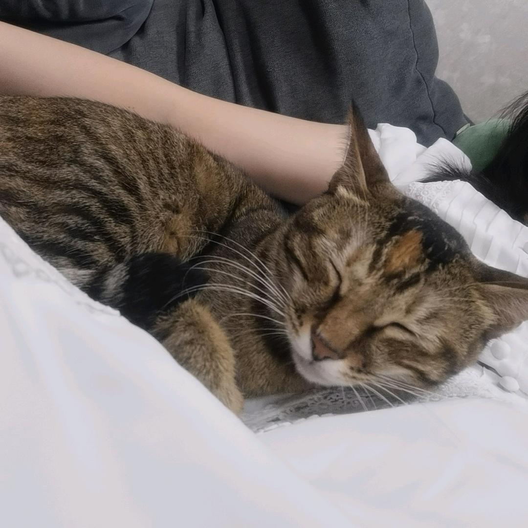三柒