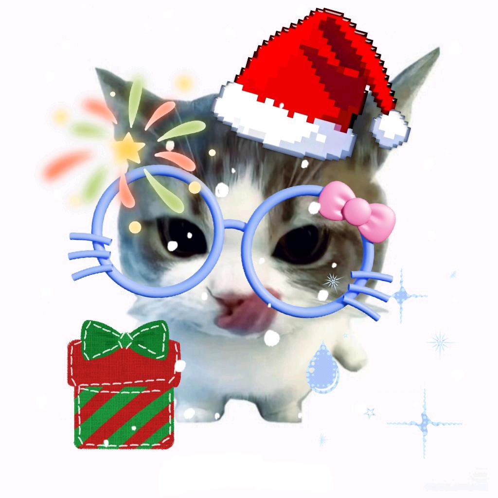 圣诞猫.