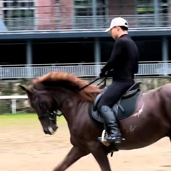 花间小酒人间醉