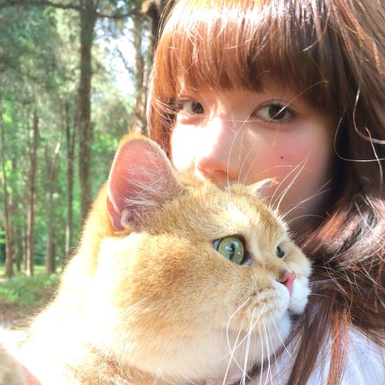 金渐层(无常领养)