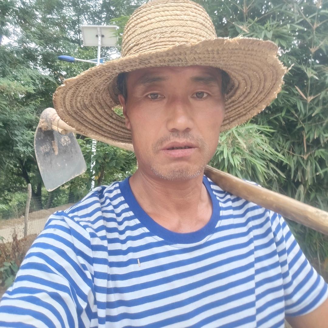 秦州农夫