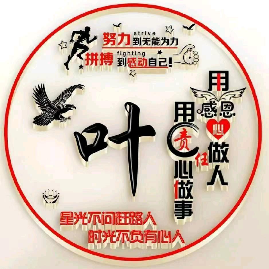 只看不刷全网寻找紫阳县，龚孝梅