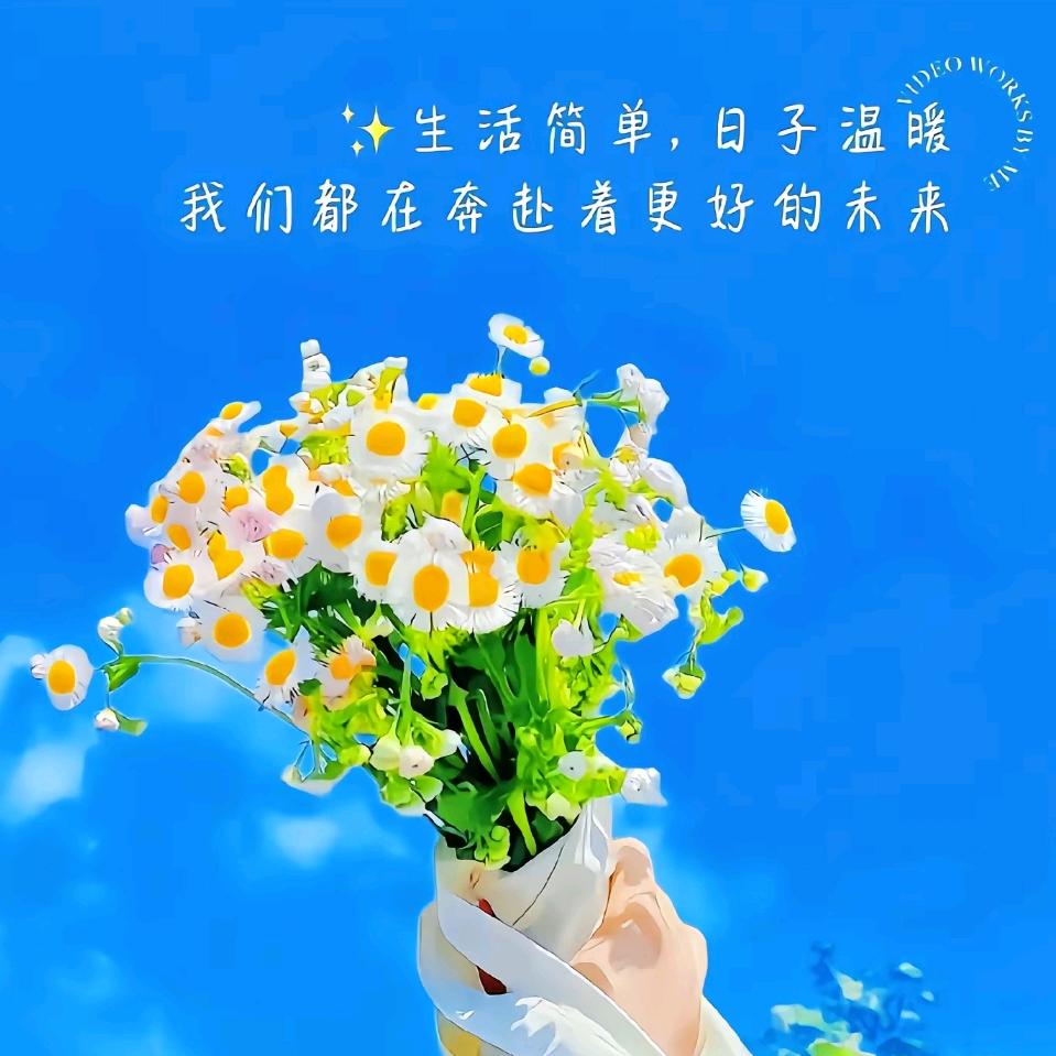 ℘᭄ᩚ꯭  ໌້ᮨ🌿Lemon ໌້ᮨ