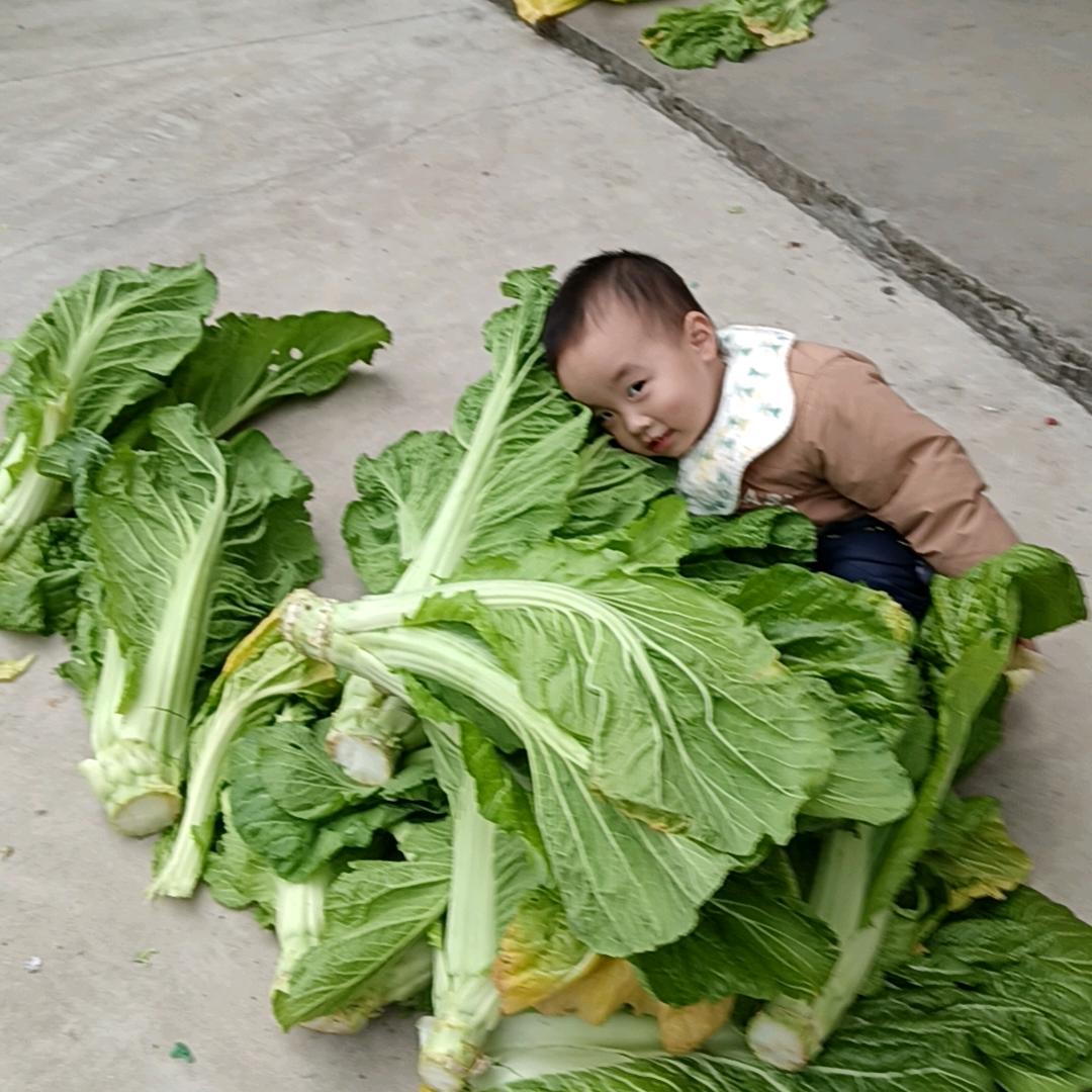 有你就完美