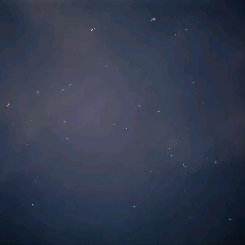 Zz