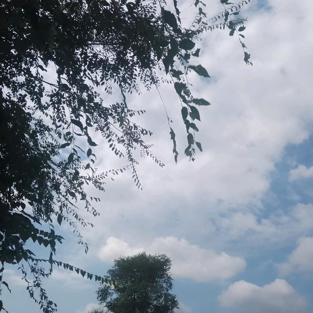 钢格板，钢盖板厂家
