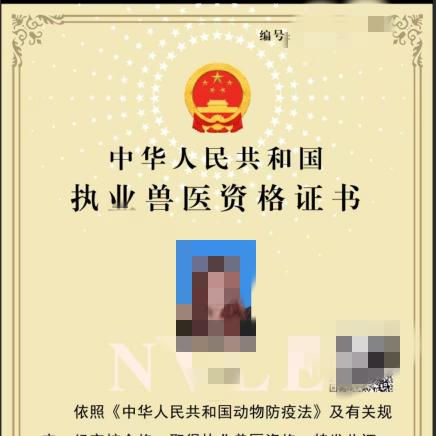 好小鸟维修中心