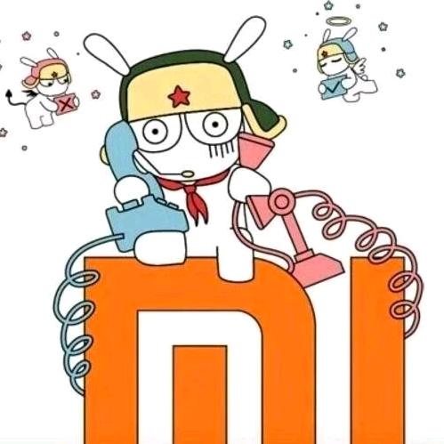 小米内推兔
