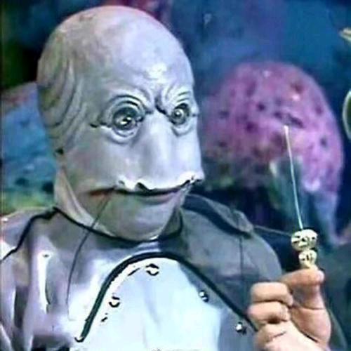 梵蒂冈在位的教皇