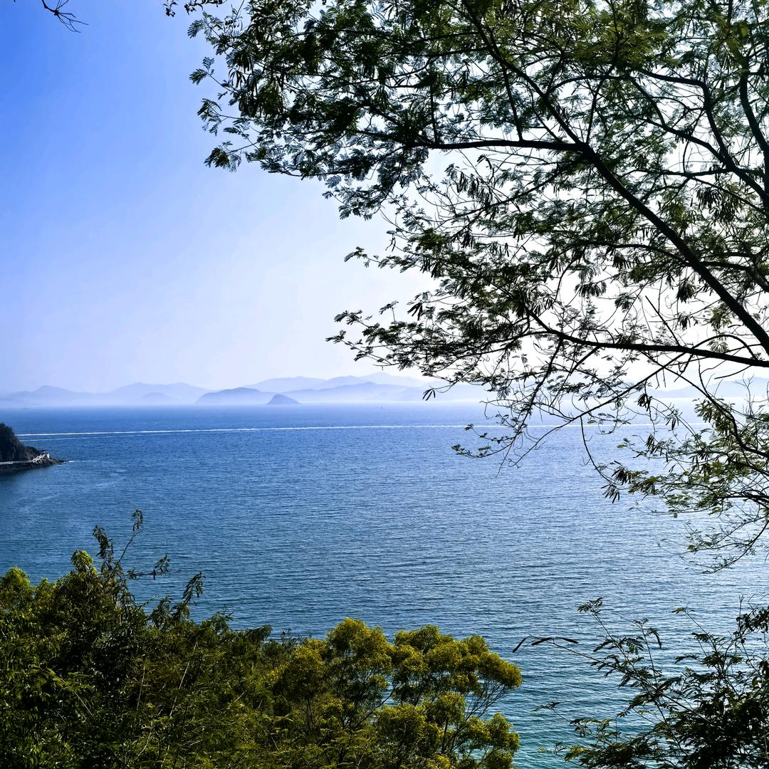 钧泽北