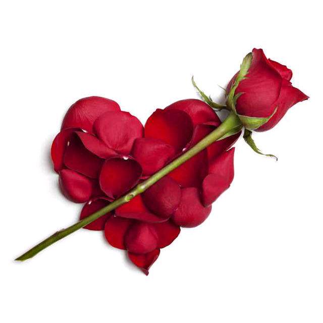 520❤️是梦终💕会醒💘