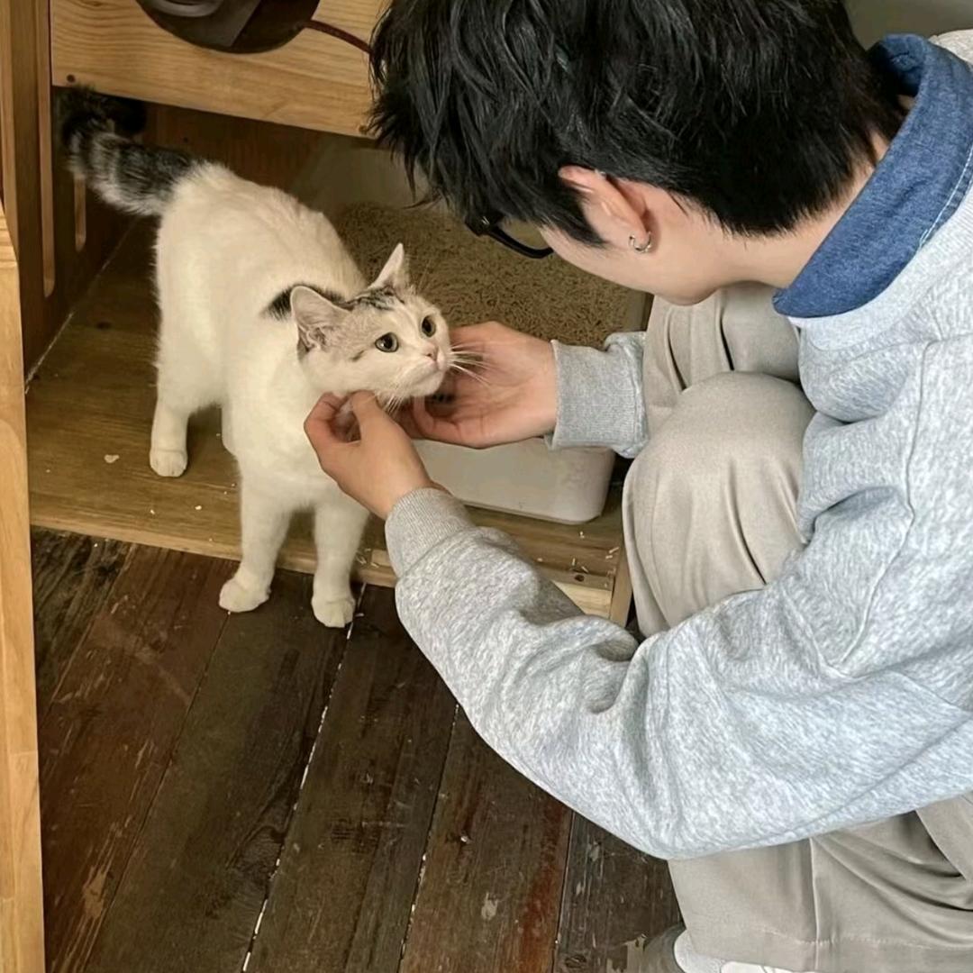 玫