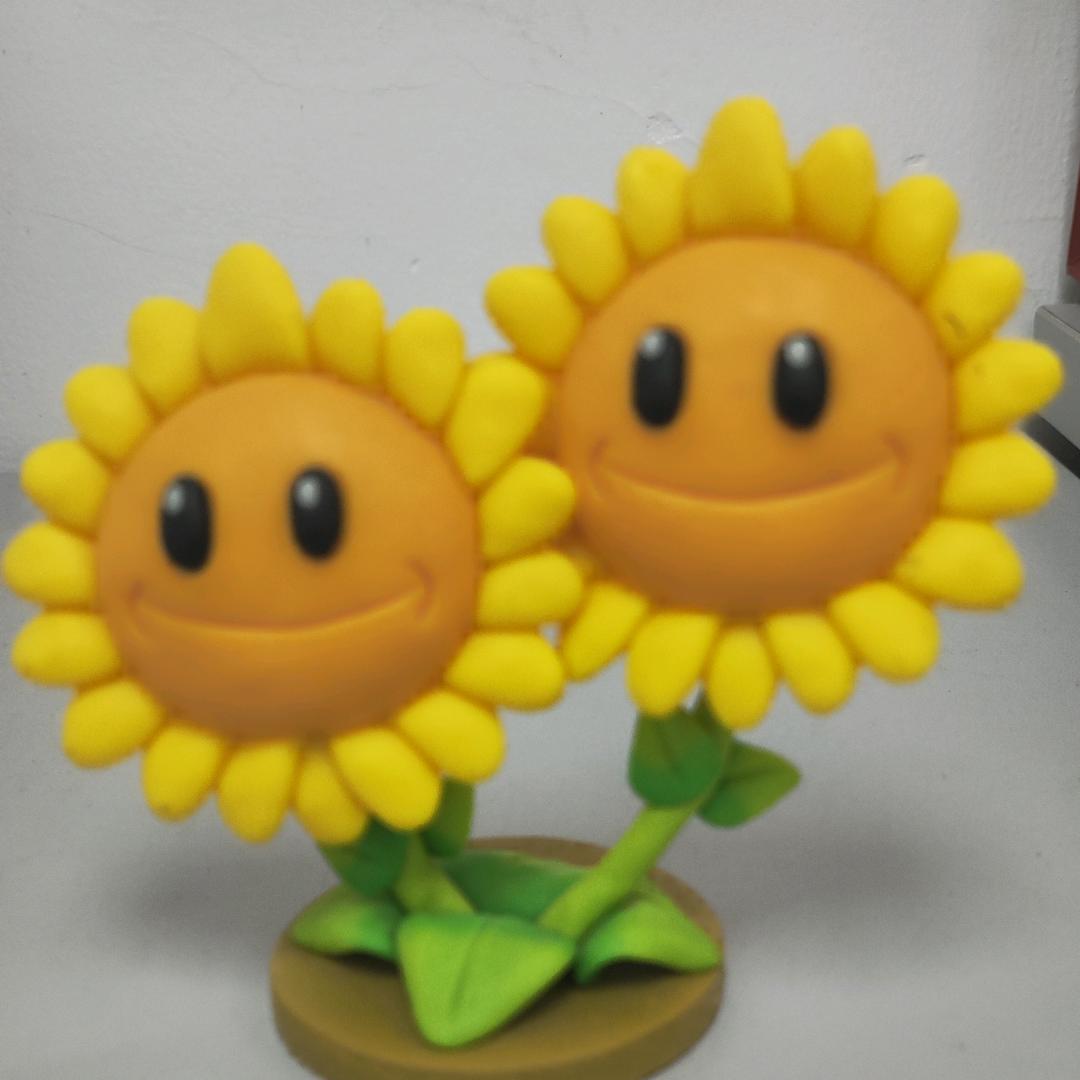 向日葵🌻🌻🌻🌻🌻🌻