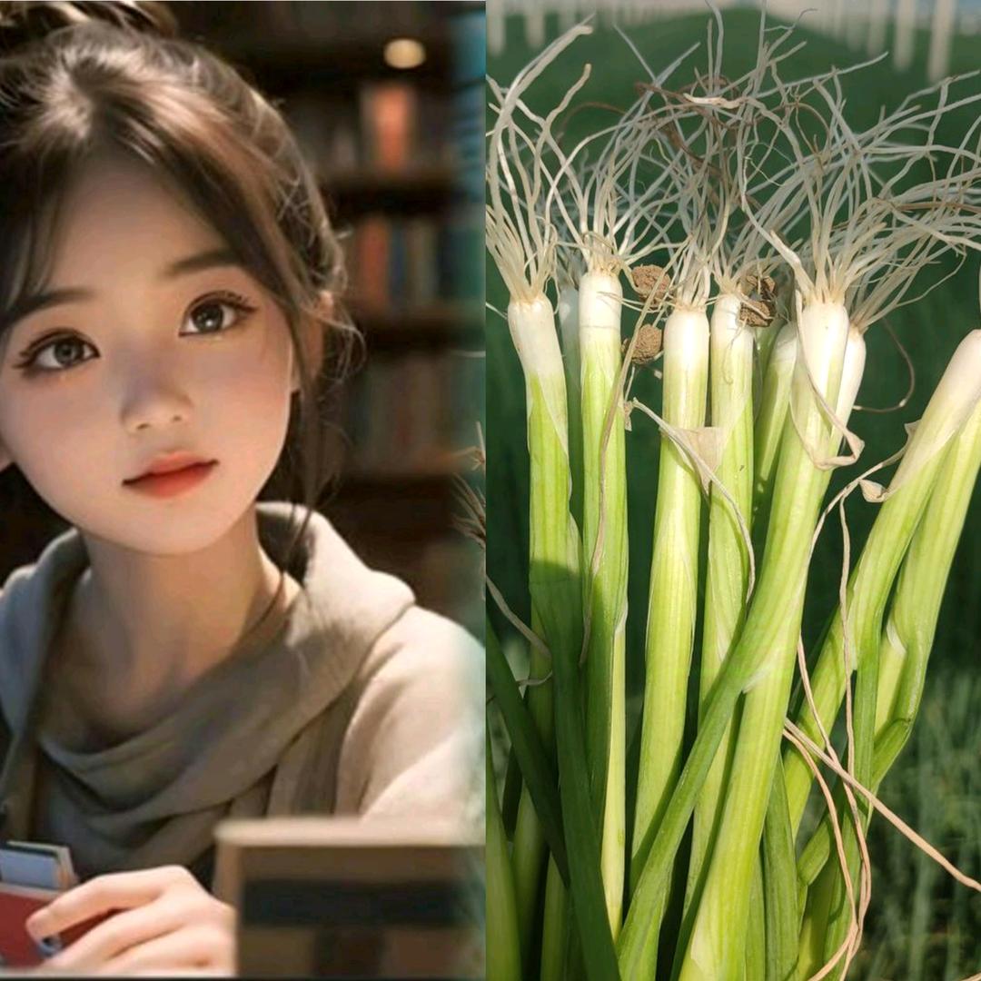 明阳铁杆大葱育苗基地