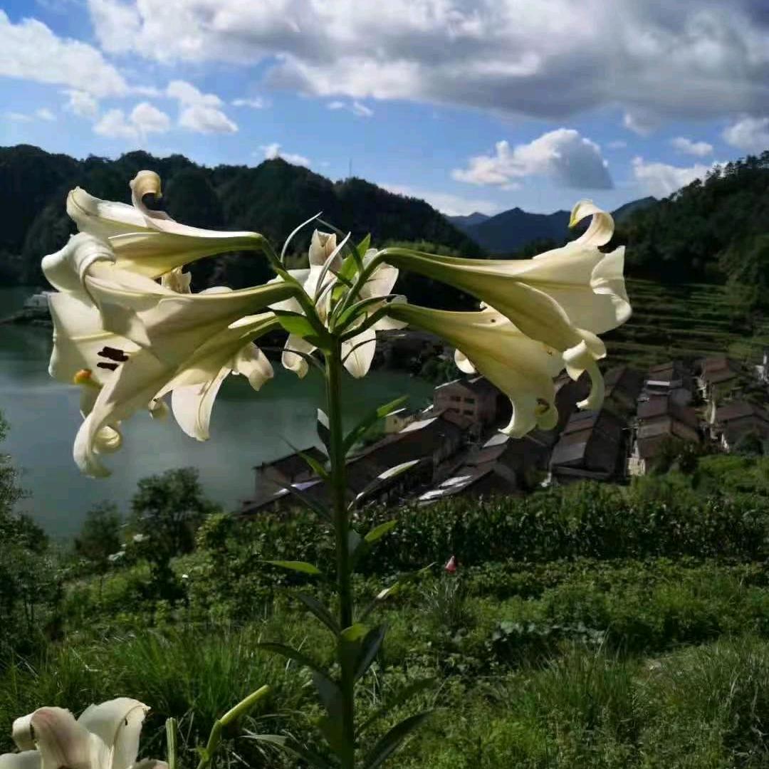 福气满满