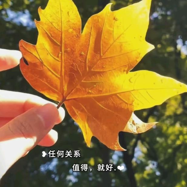 小👀勇💏哥