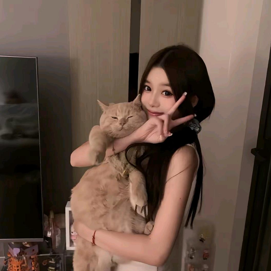 ㅤㅤㅤㅤㅤㅤ       ㅤㅤㅤ
