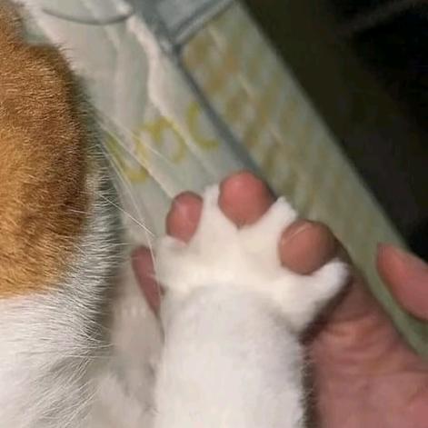 吃亿口小宝