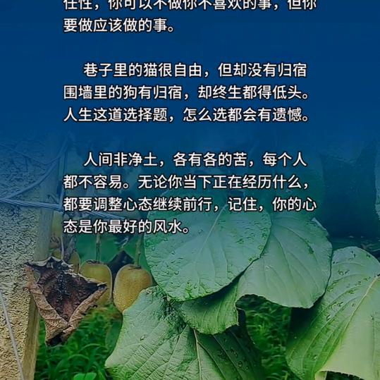 泥是根