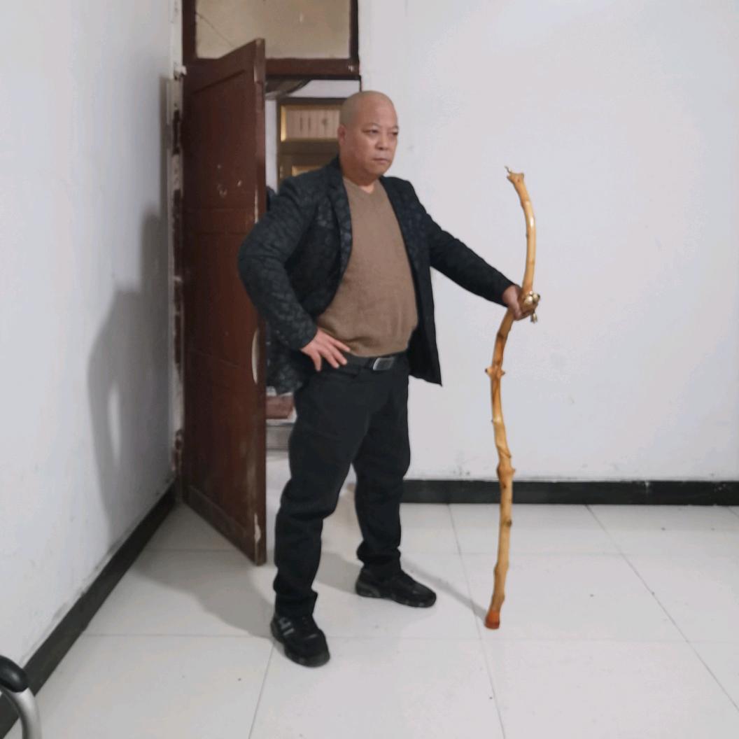 黑狼(刘氏后裔)