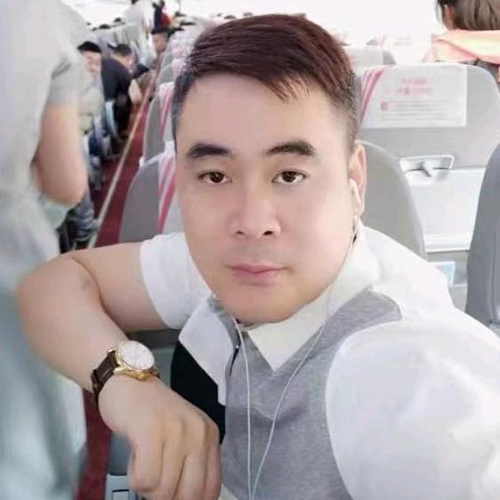 飞翔的小鸟
