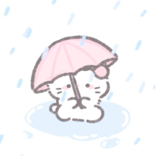 小猫述语