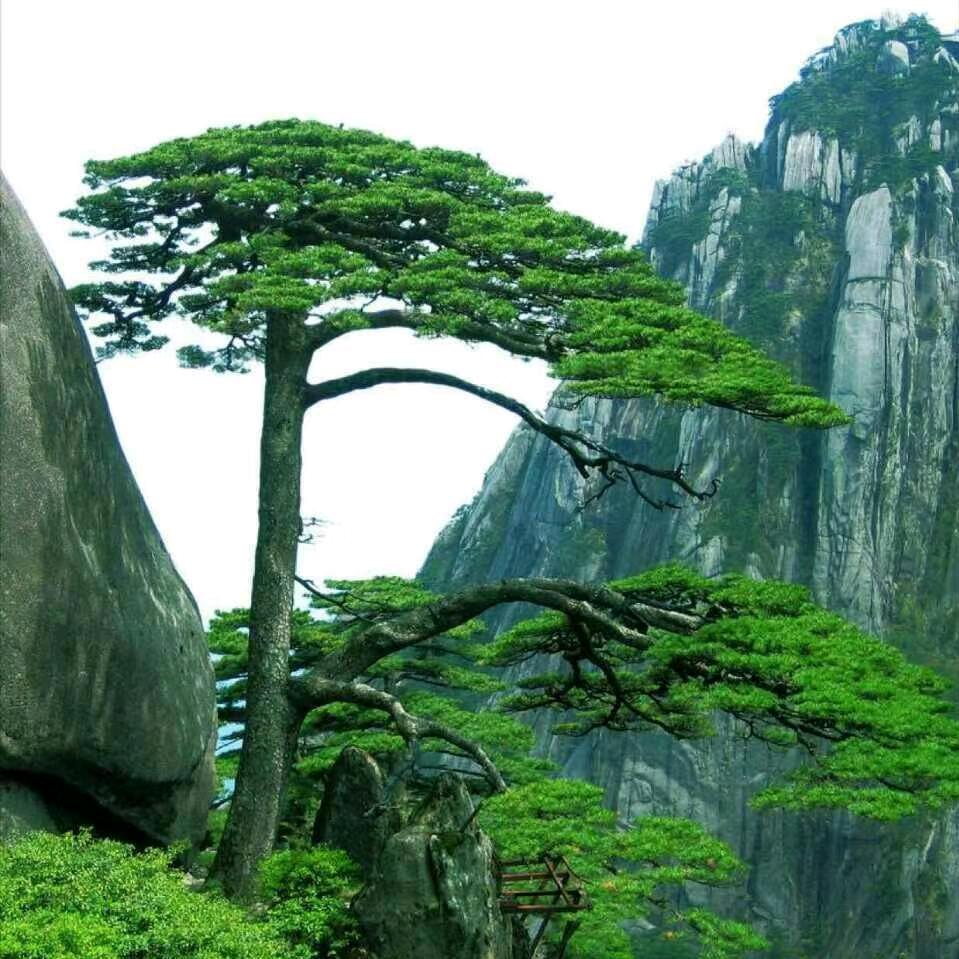 东方的太阳