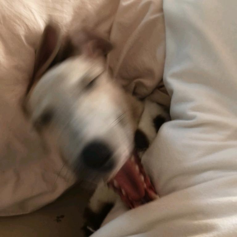 杰👻