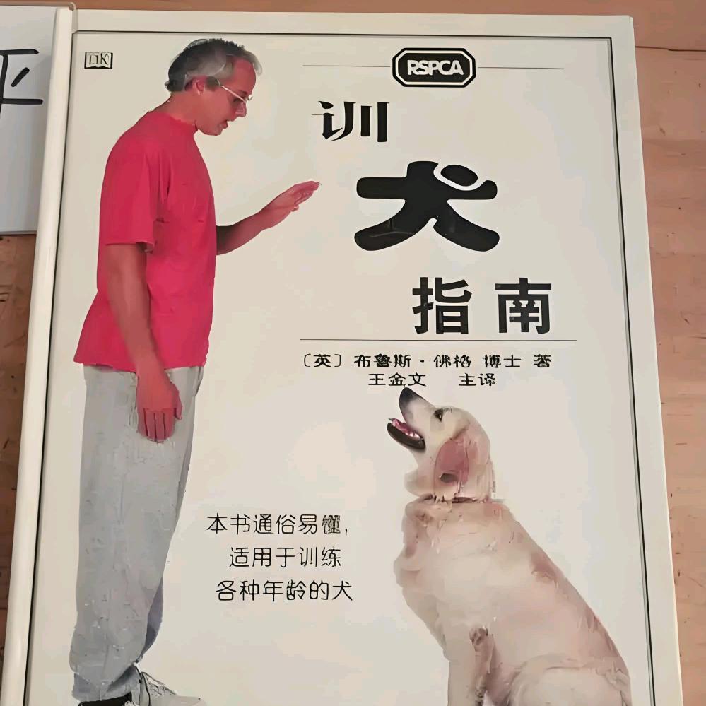 九月28号疯狗节
