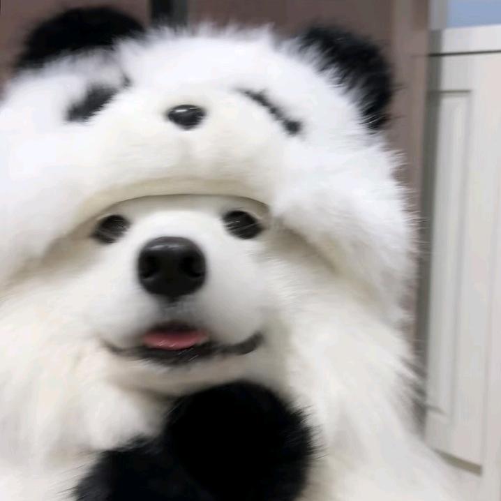 舒舒舒舒