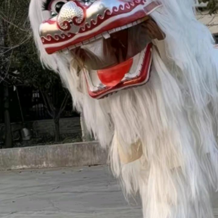 花灯八音队一条线