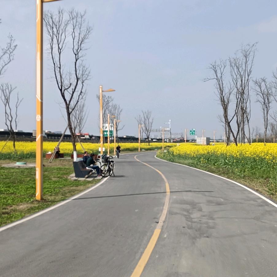 梦想家