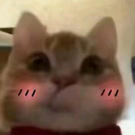 嗷袄