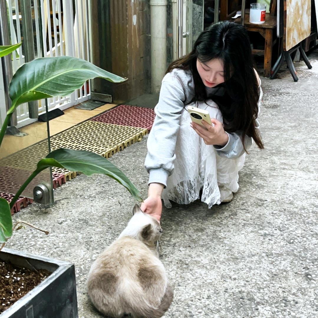芋圆